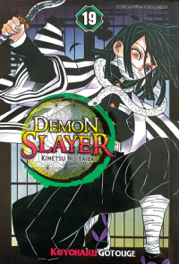 Image of Demon Slayer : Kimetsu No Yaiba 19