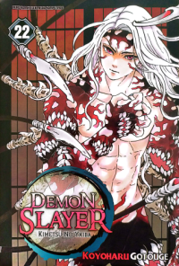 Image of Demon Slayer : Kimetsu No Yaiba 22